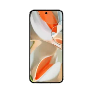 Pixel 9 Pro XL