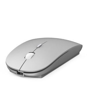 Souris Bluetooth (Argent) WIWU - OFF ON Lyon